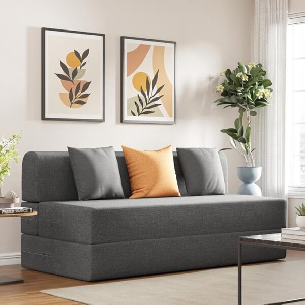 Sofa Cum Bed | 1 Year Warranty | 3 Seater, Sofa Bed 6 X 5 Feet, Foldable Sofa Cum Bed with 2 Cushion